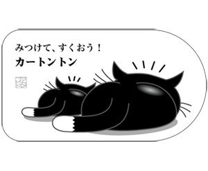 黒猫白色横