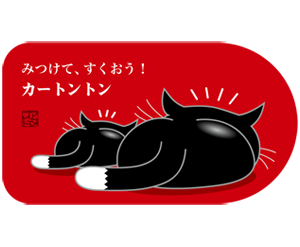 黒猫赤色横
