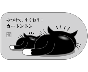 黒猫灰色横