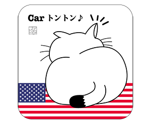 アメリカ白色角