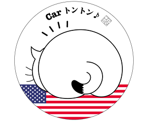 アメリカ白色丸