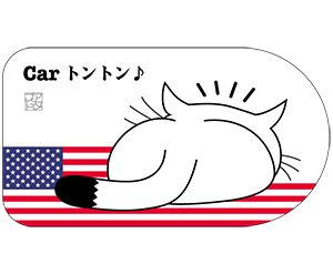 アメリカ白色横