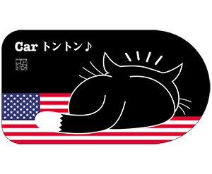 アメリカ黒色横