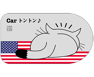 アメリカ灰色横